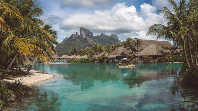Tropical Paradise